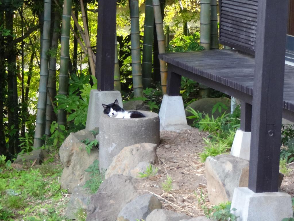 Ryokan Izuna Атами Экстерьер фото